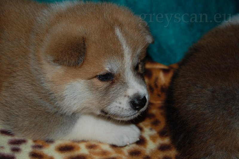 28 odpočívám ale všechno vidím.jpg